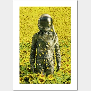 Stranded in the sunflower field Posters and Art